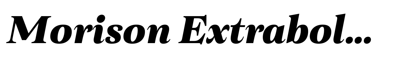 Morison Extrabold Italic